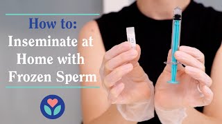 How to Inseminate at Home with Frozen Sperm and The Mosie Kit [upl. by Sakmar]