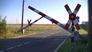 Spoorwegovergang Sprotta D  Railroad crossing  Bahnübergang [upl. by Reviel]