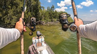 Live Ladyfish Live Mullet and Live Shrimp Fishing [upl. by Theta917]