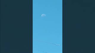 the moon during the daytime [upl. by Ynaffit]