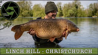 Linch Hill Fishery  Christchurch  Carp Fishing  A Carpy Connection [upl. by Enirhtak]