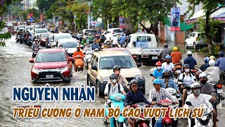 Nguyên nhân khiến triều cường ở Nam Bộ lên cao vượt lịch sử  MIỀN TÂY HÔM NAY  SÁNG 20102024 [upl. by Luahs]