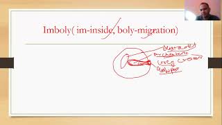 gastrulation in frog class 12 biology [upl. by Haslett]