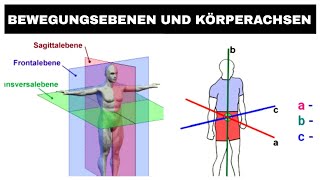 Körperachsen und Bewegungsebenen Erklärvideo [upl. by Mussman]