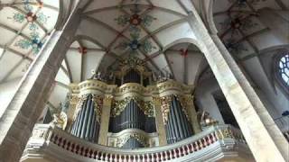 J S Bach  Toccata and Fugue in D minor BWV 565  H Otto [upl. by Greenfield457]