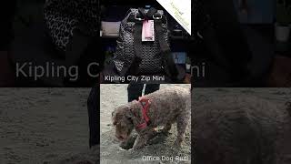 20241023 Kipling City Zip Mini B 500subs kipling officedogrudi [upl. by Llerehs]