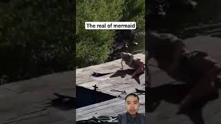 the real of mermaid fypシ゚viral shortvideos shortsviral [upl. by Bobker]