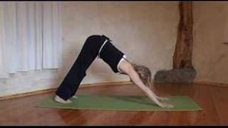 Yoga Downward Facing Dog with Esther Ekhart [upl. by Nybor]