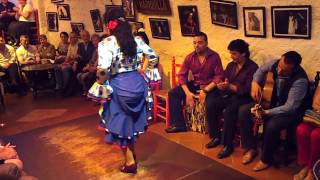 Flamenco Dance by Spanish Gypsies Part 3 [upl. by Eey174]