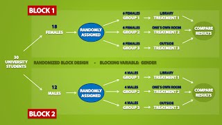 Types of Experimental Designs 33 [upl. by Atnod]