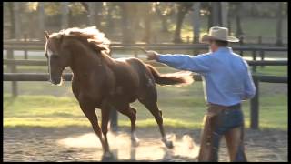 Parelli Natural Horsemanship [upl. by Spada]