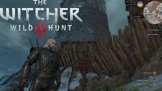 The Great Sunstone Hunt  The Witcher 3 Wild Hunt Ep 72 [upl. by Yednarb]