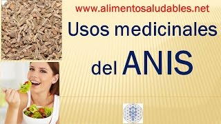 Usos medicinales del ANIS [upl. by Biles201]