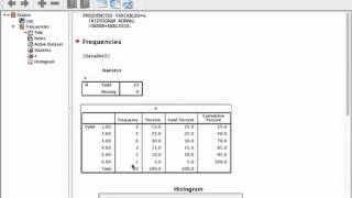 Frequency Distribution SPSS [upl. by Fabiano516]