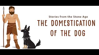 Queens of the Stone Age  Domesticated Animals 6 Music Live Room [upl. by Dinsmore]