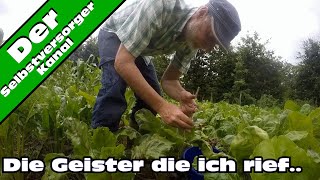 Die Geister die ich rief Roter Meier im Garten [upl. by Okorih15]