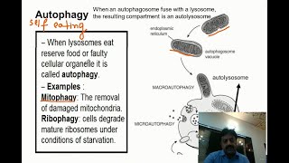 Lysosomes In Sindhi  First Year Biology  Chapter 4 The Cell [upl. by Corie]