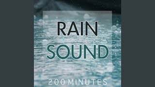 Rain Sound Pure White Noise for Natural Deep Sleep Inducing [upl. by Annahsit]