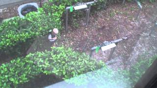 Kid throws a rock in a neighbors window and breaks it [upl. by Ait247]