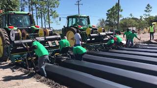 Strawberry Production in Florida [upl. by Harvey]