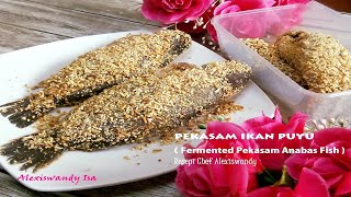 Cara buat sendiri PEKASAM IKAN PUYU  Homemade  Fermented Pkasam Anabas Fish  Resepi Alexiswandy [upl. by Adnuhsed]