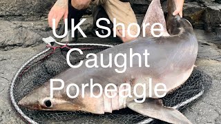 🦈🎣 UK Shore Caught Porbeagle 2022🎣🦈 [upl. by Saunderson]