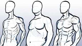 How to Draw Different Body Types [upl. by Malet]