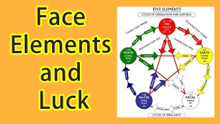 Basic Knowledge of Face Reading Face Elements and Age Luck on Face Free Face Reading Course [upl. by Snoddy]