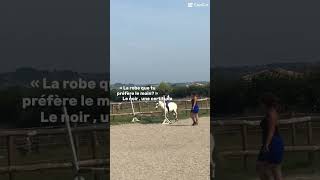 Certitude 👹😂 horse equestrian perrier edit poney love humour canineconnoisseur pourtoi [upl. by Kelby]