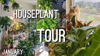 Houseplant Apartment Tour January 2024 [upl. by Cruce]