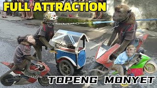 TOPENG MONYET LUCU VIRAL KELILING FULL ATTRACTION [upl. by Nappie]