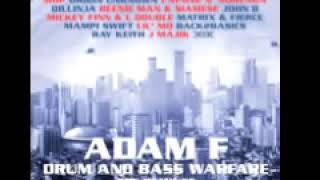 Adam F  Stand Clear Featuring MOP Origin Unknown Remix [upl. by Hays561]