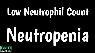 What is Neutrophils in CBC test  What does it mean when neutrophils are high  Low neutrophils [upl. by Nahamas437]