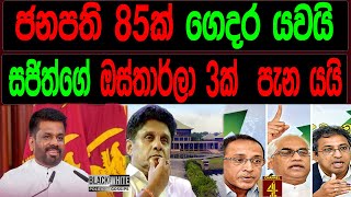 ජනපති 85 ක් ගෙදර යවයි සජිත්ගේ ඔස්තාරලා තුනක් පැනයයිBLACKampWHITE [upl. by Roice]