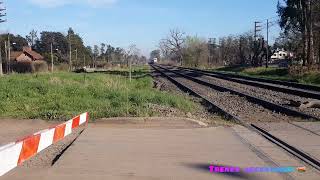 CNR CKD8G0002 con tren N°152 quotel bragadoquot con destino a once pasando PNA calle linneo la reja [upl. by Chaudoin154]