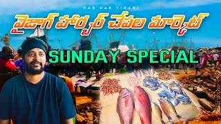 Vizag Fishing Harbour  Sunday Special Vlog  Har Har Vihari [upl. by Nagud534]