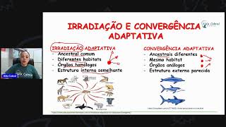 IRRADIAÇÃO E CONVERGÊNICA ADAPTATIVA [upl. by Parry309]