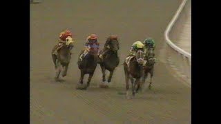 1995 Beldame Stakes [upl. by Augy]