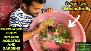 Unboxing of 14 types🔥 of aquatic plants 🌱 purchased from Himadri Aquatics and Gardens [upl. by Colbert]