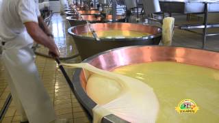 Ciclo produttivo del Parmigiano Reggiano [upl. by Leschen423]