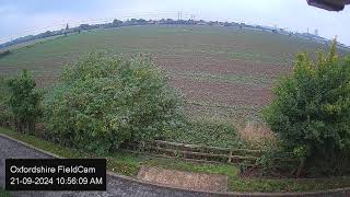 LIVE Oxfordshire FieldCam  Live Streaming from Oxfordshire UK [upl. by Tchao]