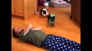 Funny Dachshund EMS Response  Choking Victim  Vine [upl. by Anidem]