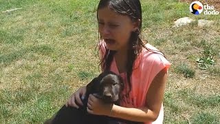 Kids React to New Dogs  The Dodo [upl. by Nyladnohr]