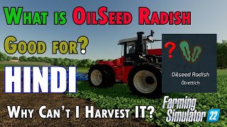 how to harvest oilseed radish in farming simulator 22 Hindi guide [upl. by Mosra298]