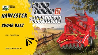 Farming simulator 16 harvest Sugar Beet  Fs 16 [upl. by Lust]