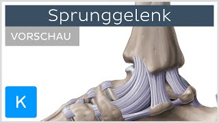 Sprunggelenk  Aufbau und Funktion Vorschau Â Kenhub [upl. by Ard660]