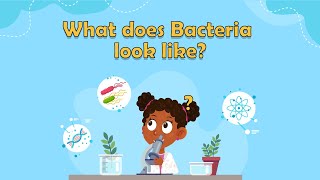 What does Bacteria look like  What is bacteria for kids  Bacteria facts for kids  Bacteria Cell [upl. by Leihcey]