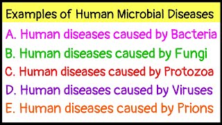 Examples of Human Microbial DiseasesDiseases caused by BacteriaFungiProtozoaVirusesPrions [upl. by Ainad]