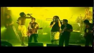 Manu Chao Sound System Mama Perfecta Blood and Fire [upl. by Brinkema]