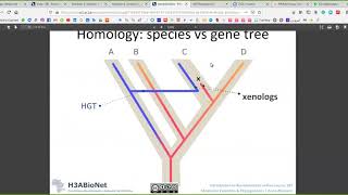 Bioinformatic بالعربي Molecular evolution and phylogenetic tree 1 [upl. by Anali]